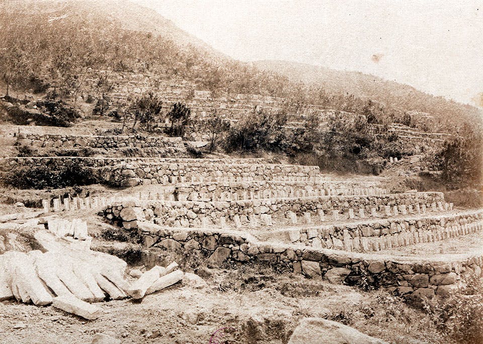 pestgravar hongkong 1894 qzE9IEl